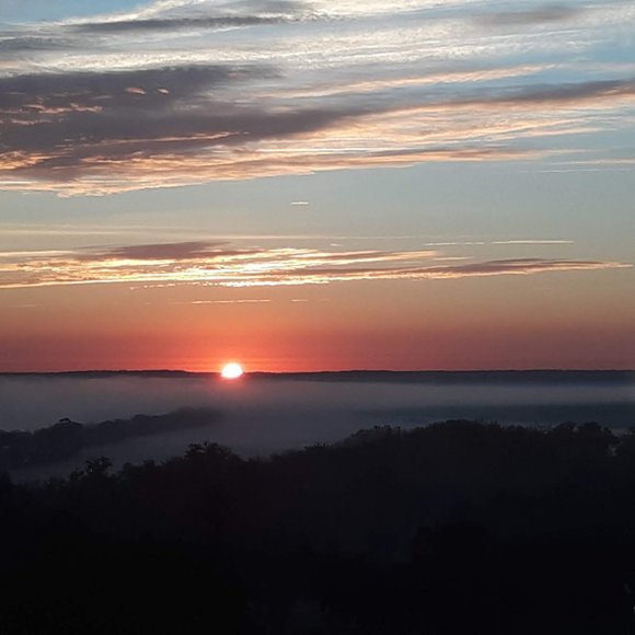 Meet your Posher, Suzanne - Picture 1 of 1